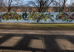 Photo #142198 by Anis