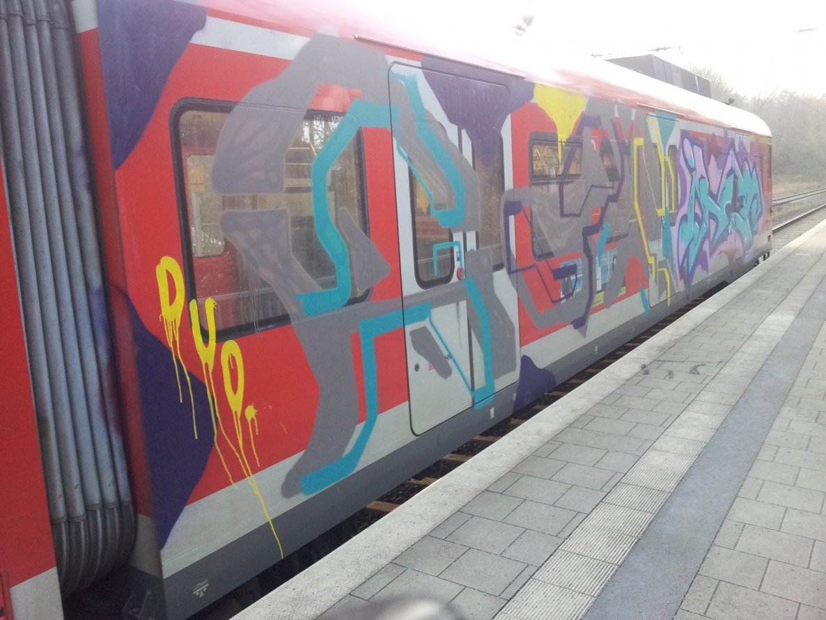 Graffiti Train - Photo by FeSO - duo, ibes (2013)