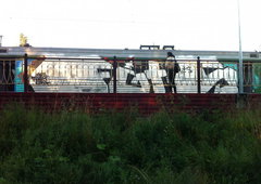 Photo #11997 by Nets1