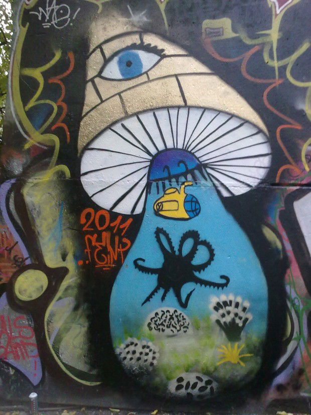 Graffiti Wall in Moscow - Photo by Feint - feint, 2011, Moscow (2011)