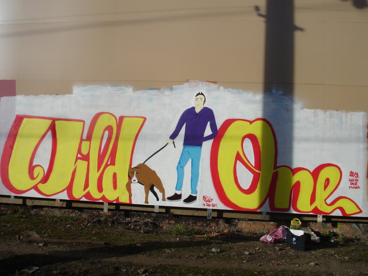 Graffiti Wall - Photo by Feint - feint., 2013., Moscow. (2013)