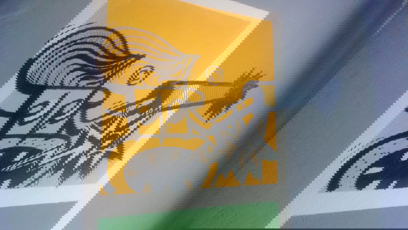 Graffiti Street Art - Photo by Felerito - feler (2013)