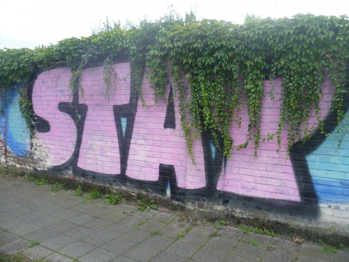 Graffiti Bombing - Photo by FettesKind - stay