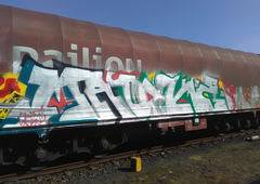 Photo #206967 by TagHagel