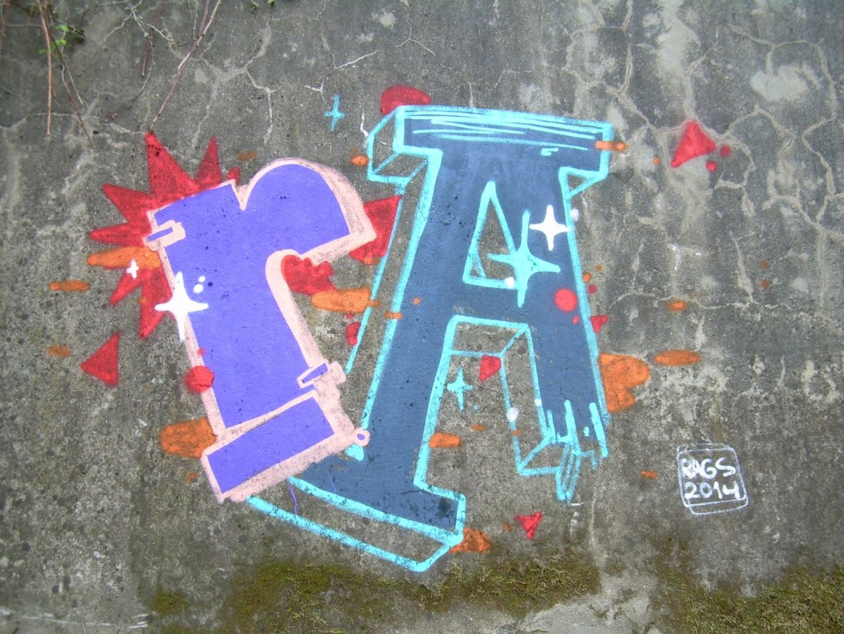 Graffiti Bombing - Photo by FilthyRags