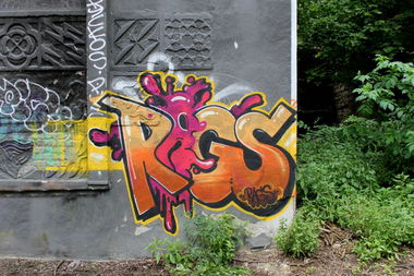 Graffiti Bombing - Photo by FilthyRags