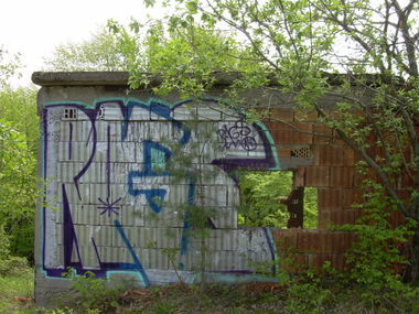 Graffiti Bombing - Photo by FilthyRags