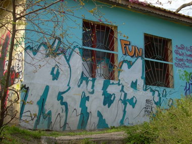 Graffiti Bombing - Photo by FilthyRags