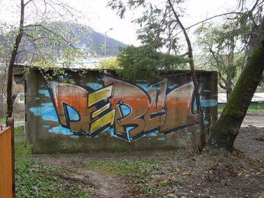 Graffiti Bombing - Photo by FilthyRags