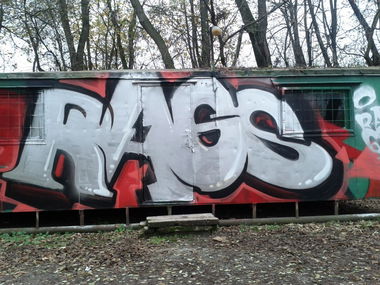 Graffiti Bombing in Razgrad - Photo by FilthyRags (2013)