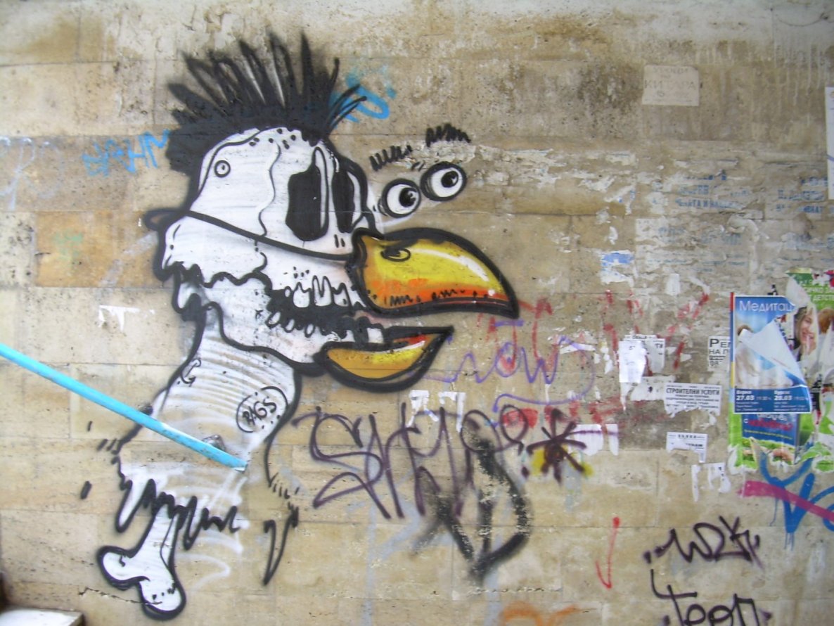 Graffiti Bombing - Photo by FilthyRags