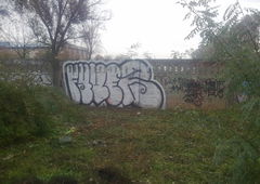 Photo #46264 by 505er