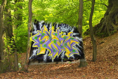 Graffiti Artwork - Photo by Flag - wald, flag, mtn (2014)