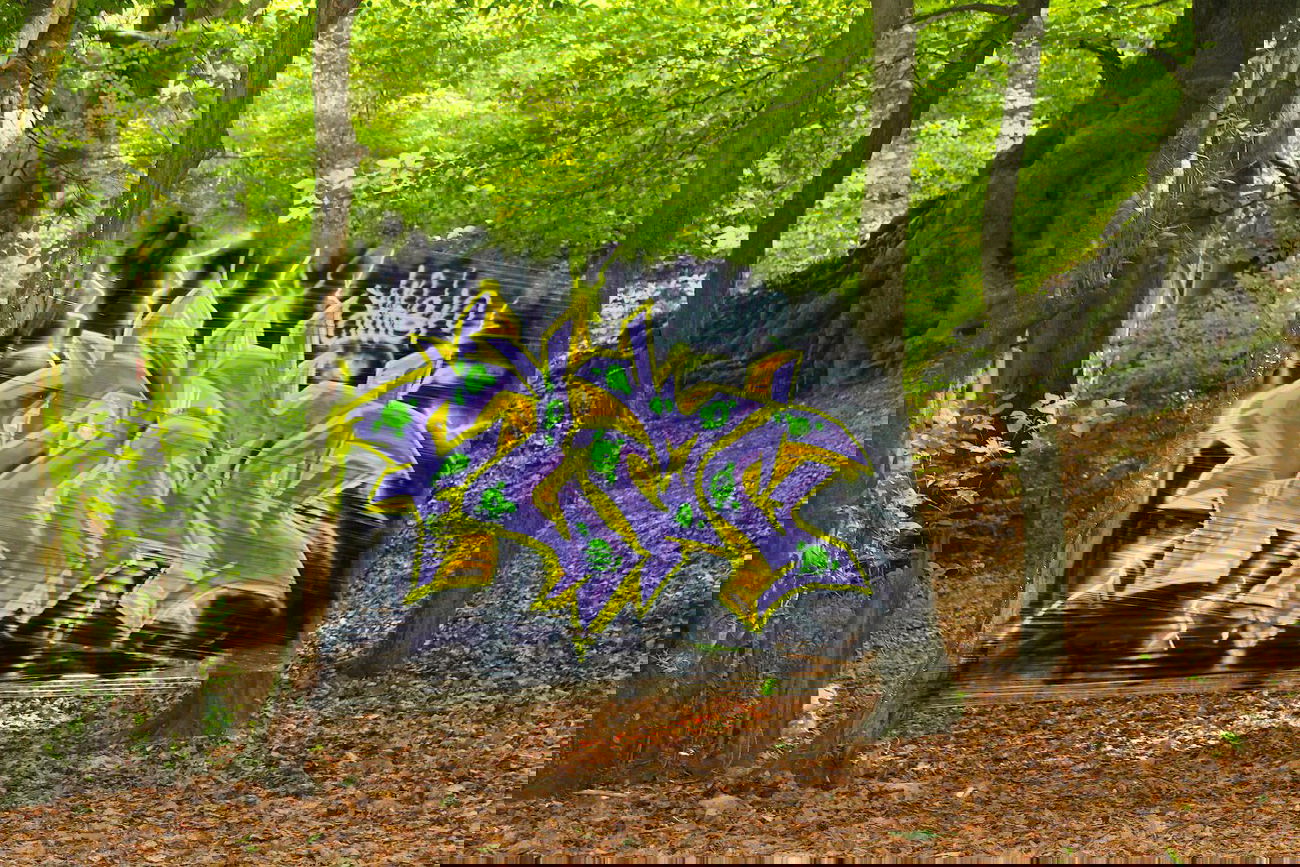 Graffiti Artwork - Photo by Flag - wald, flag, mtn (2014)