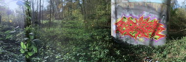 Graffiti Wall - Photo by Flag - flag, bochum, montana (2014)