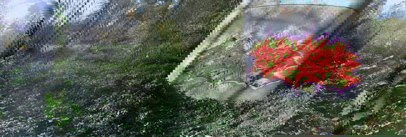 Graffiti Wall - Photo by Flag - flag, bochum, montana (2014)