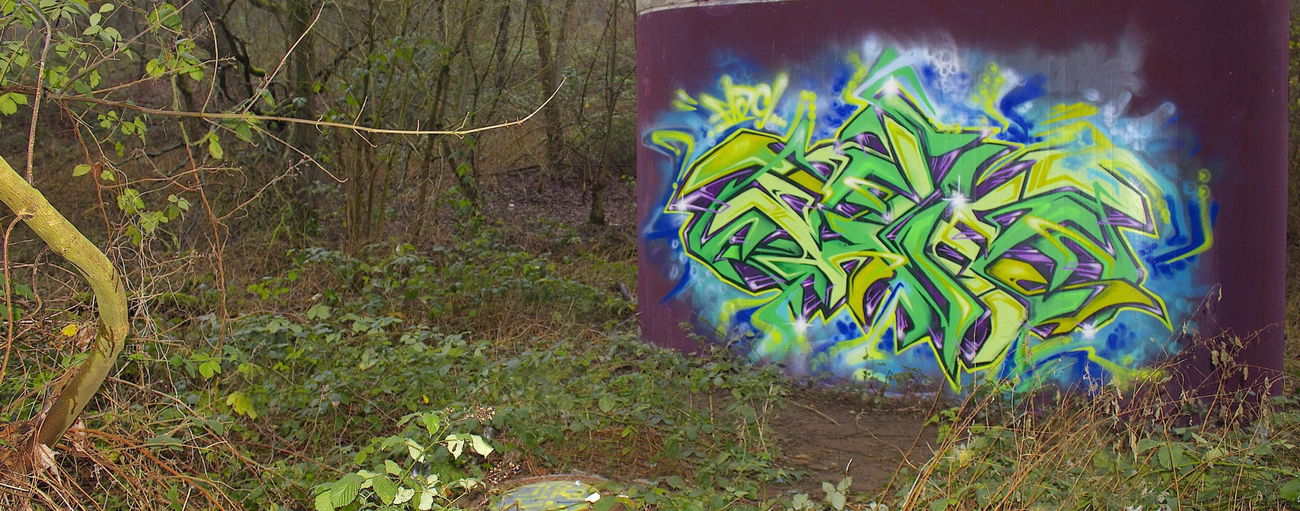 Graffiti Wall - Photo by Flag - flag, wildstyle, natur (2016)