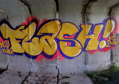 Photo #93477 by 19xllls