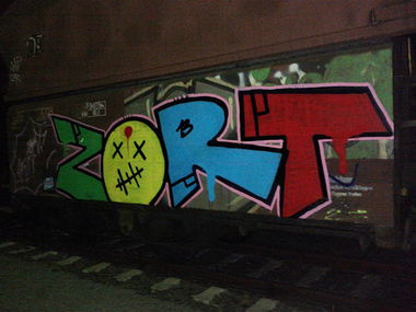 Graffiti Train in Berlin - Photo by Fleischpeitsche - ZORT, FR, CREW (2013)