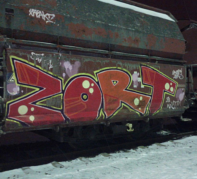Graffiti Train in Berlin - Photo by Fleischpeitsche - ZORT, FR, CREW (2013)