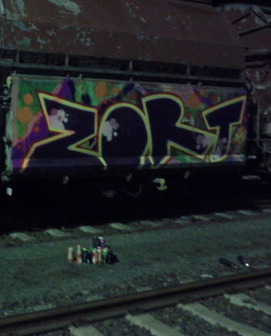 Graffiti Train in Berlin - Photo by Fleischpeitsche - ZORT, FR, CREW (2013)