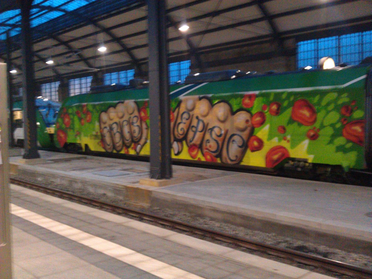 Graffiti Train in Wiesbaden - Photo by FlowRain - OBCS, EPSC (2013)
