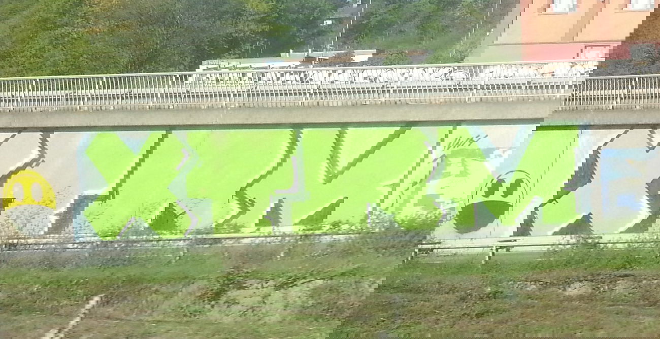 Graffiti Bombing in Wiesbaden - Photo by FlowRain - XTRM (2013)