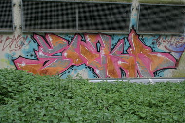 Graffiti Wall - Photo by FlowRain