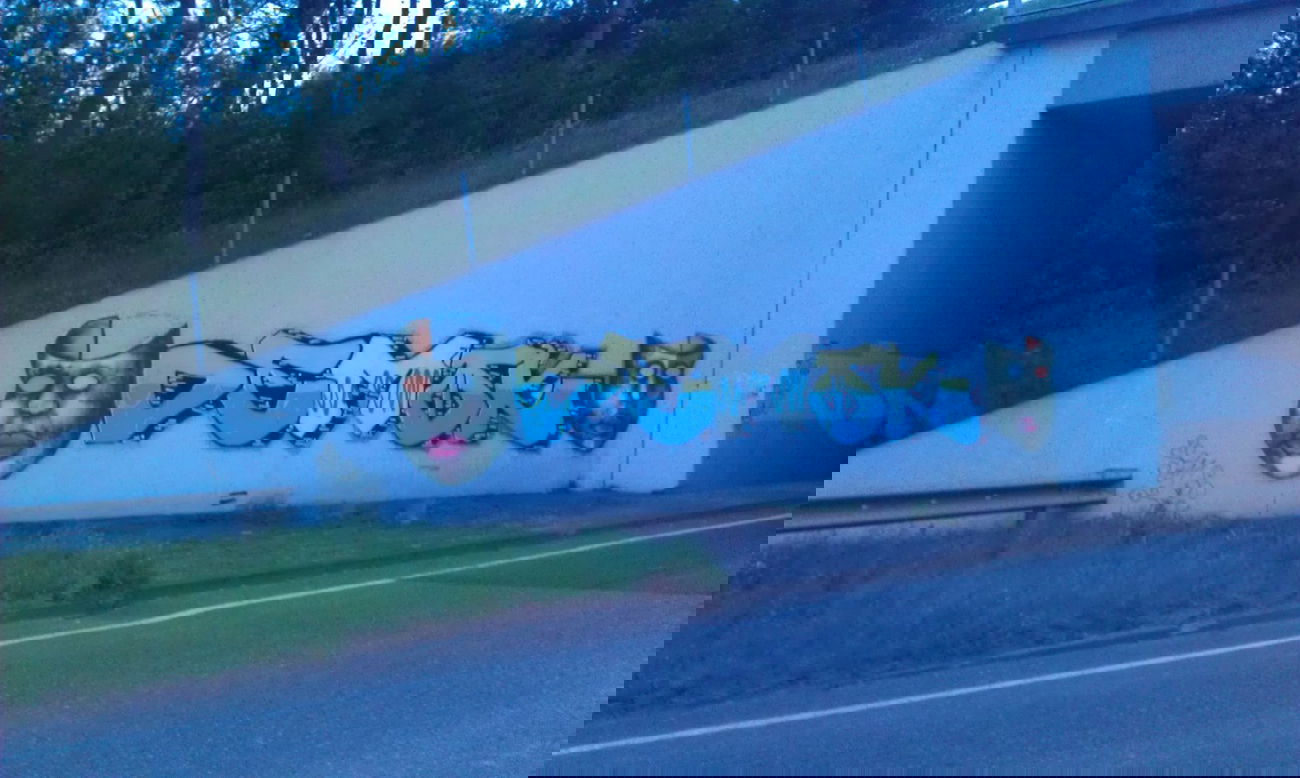 Graffiti Wall - Photo by FlowRain - DEMOK (2011)