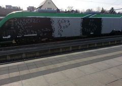 Photo #113018 by Belt