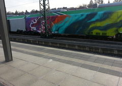 Photo #113019 by Belt