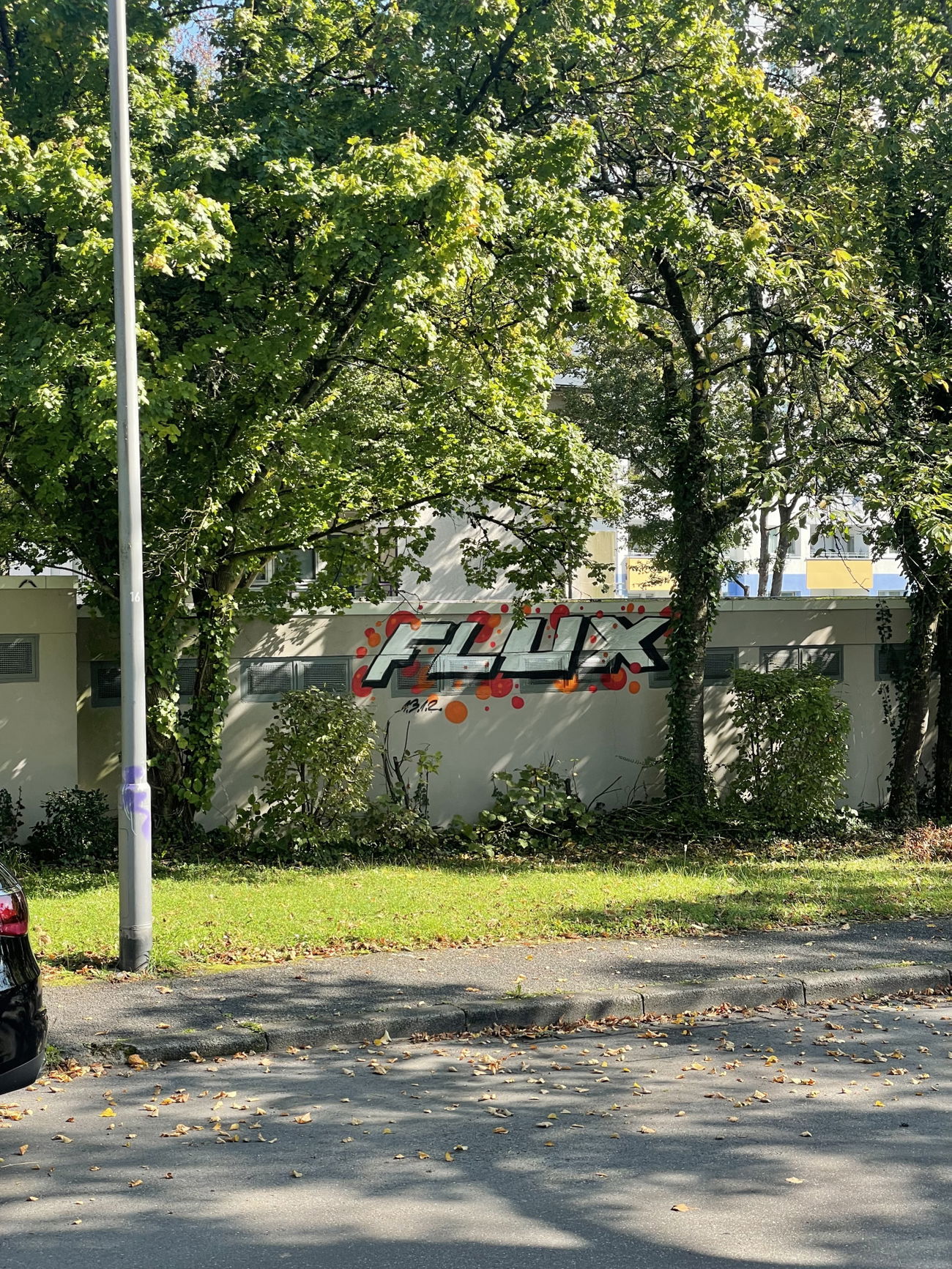 Graffiti Bombing - Photo by Flux55