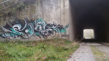 Graffiti Bombing - Photo by Foks