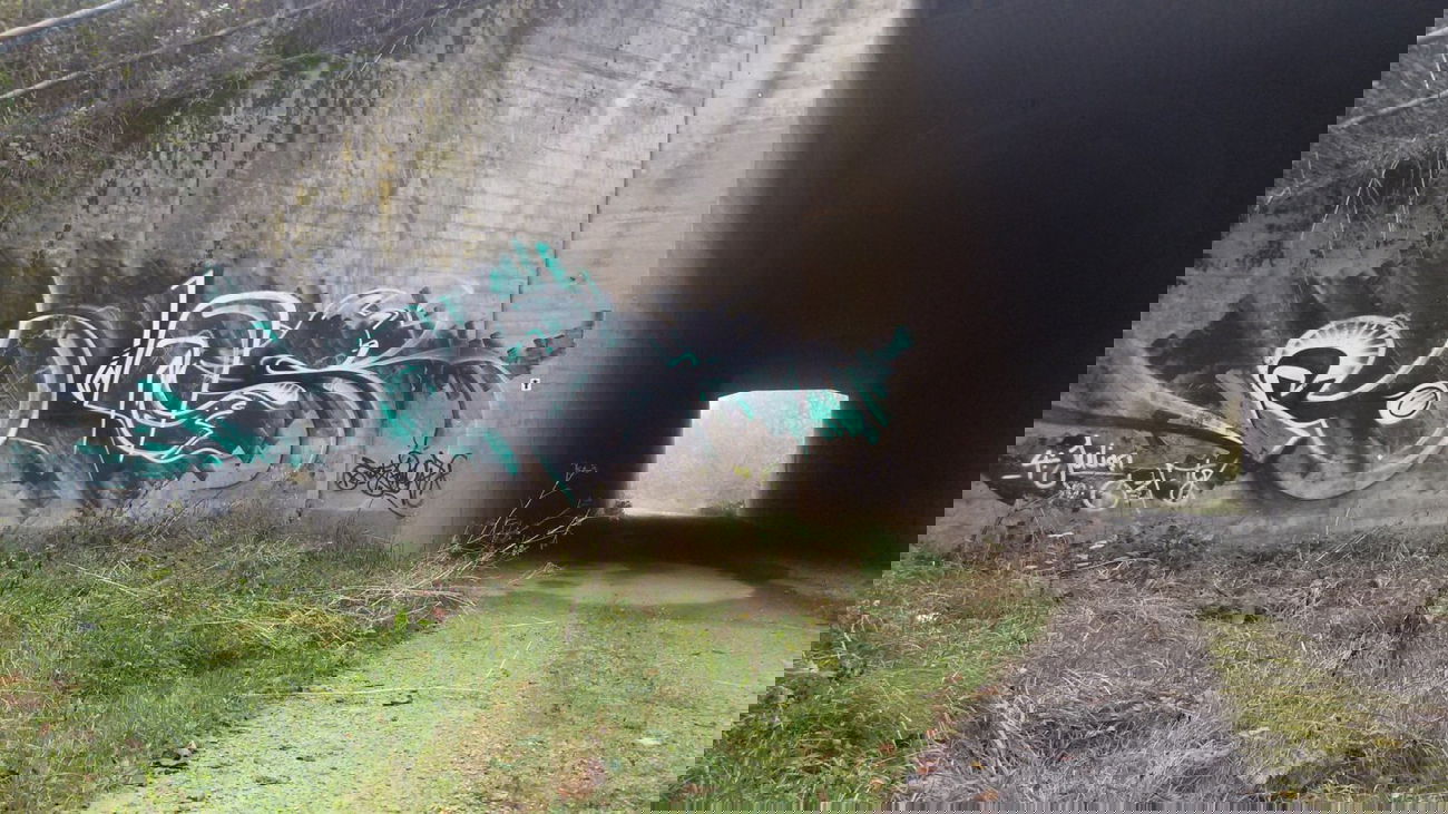 Graffiti Bombing - Photo by Foks