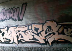 Photo #205507 by Mustard42