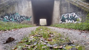 Graffiti Bombing - Photo by Foks - Foks, Junk, OzF