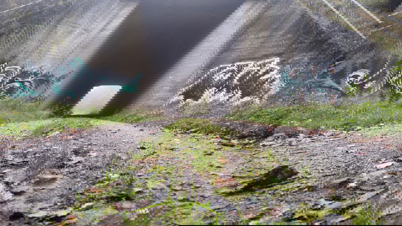 Graffiti Bombing - Photo by Foks - Foks, Junk, OzF