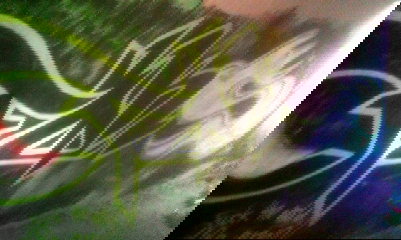 Graffiti Wall - Photo by Foks