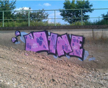 Graffiti Wall - Photo by Fokumen - vine, dfs