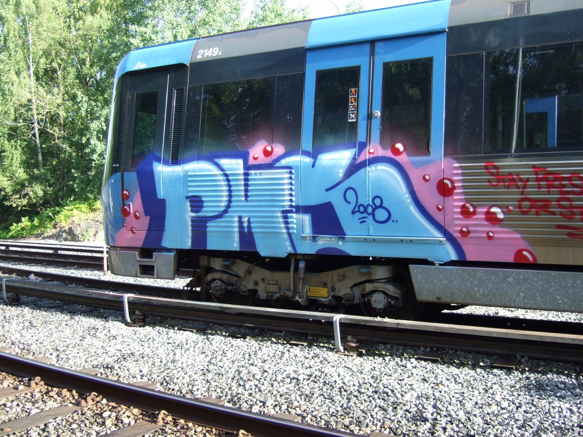 Graffiti Train - Photo by Fonzinated - OIDOR, PMS, STOCKHOLM (2008)