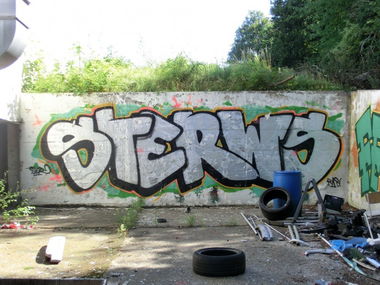 Graffiti Bombing in Bonn - Photo by Frame - Ster, RWS, Sterws