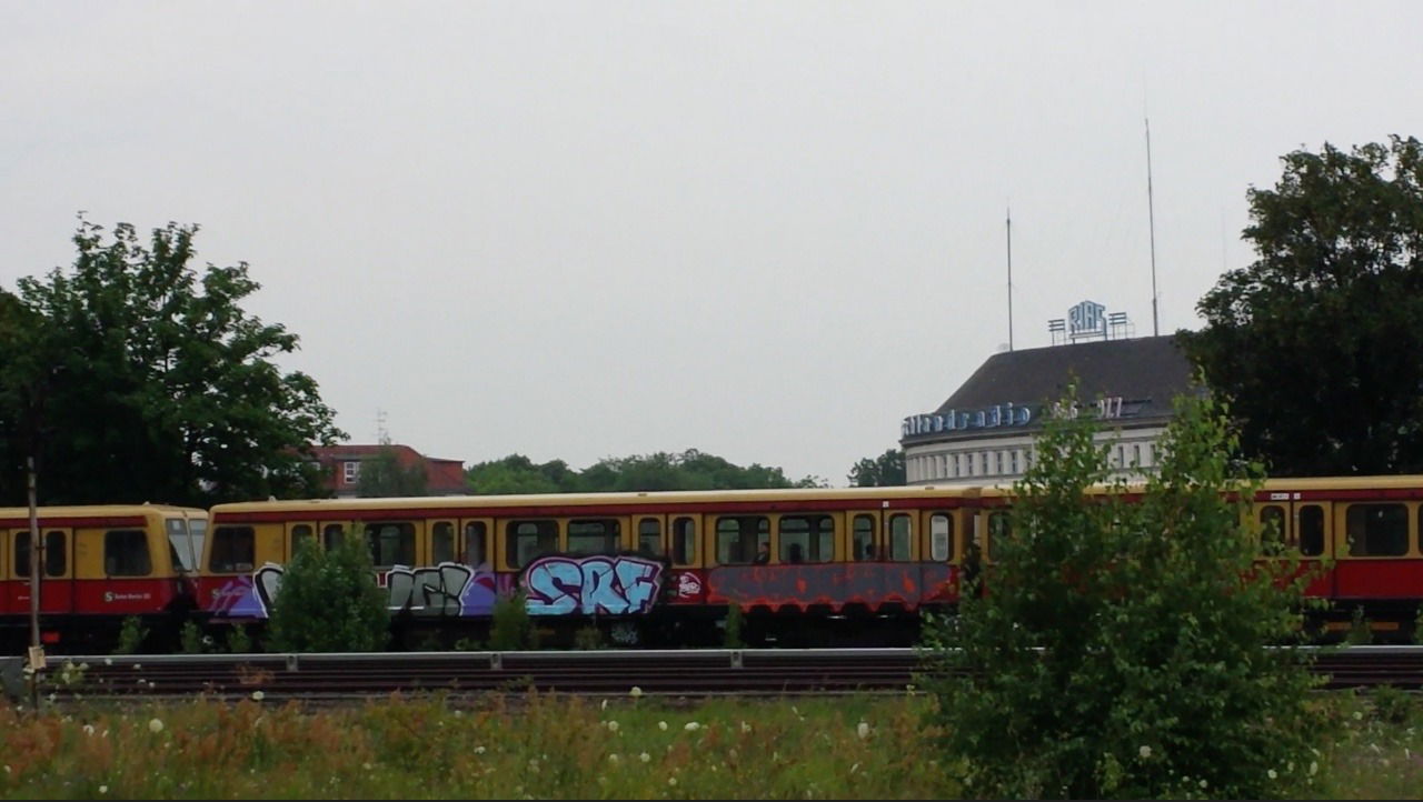 Graffiti Train - Photo by FrankOner - SRF, Gaucho