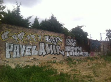 Graffiti Bombing - Photo by FrankOner - SRF