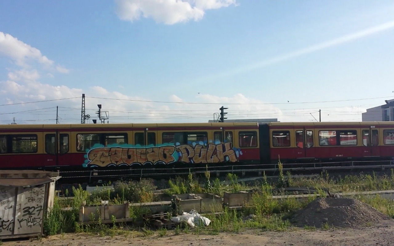 Graffiti Train - Photo by FrankOner - Gaucho, Pulk, SRF