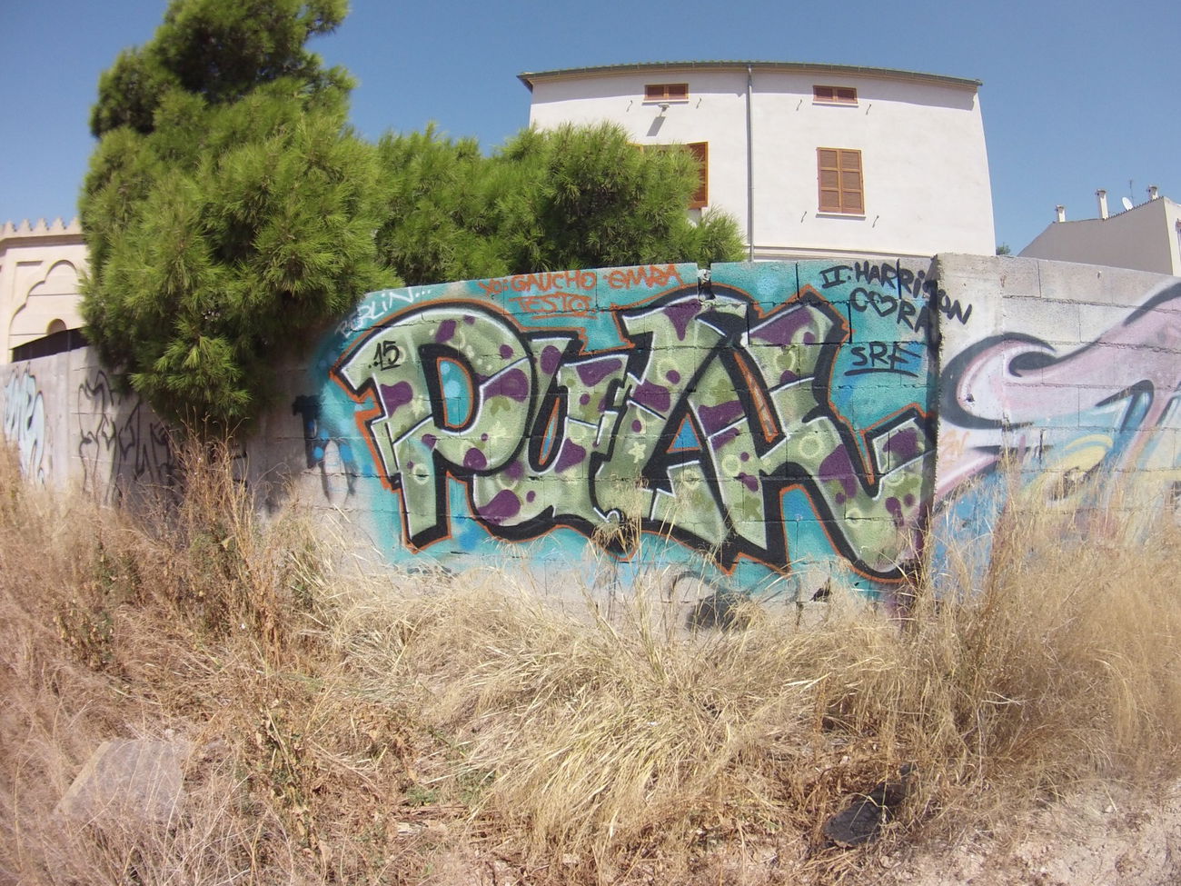 Graffiti Bombing in Palma de mallorca - Photo by FrankOner - Pulk, SRF