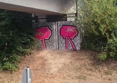 Photo #57241 by 14frantastic