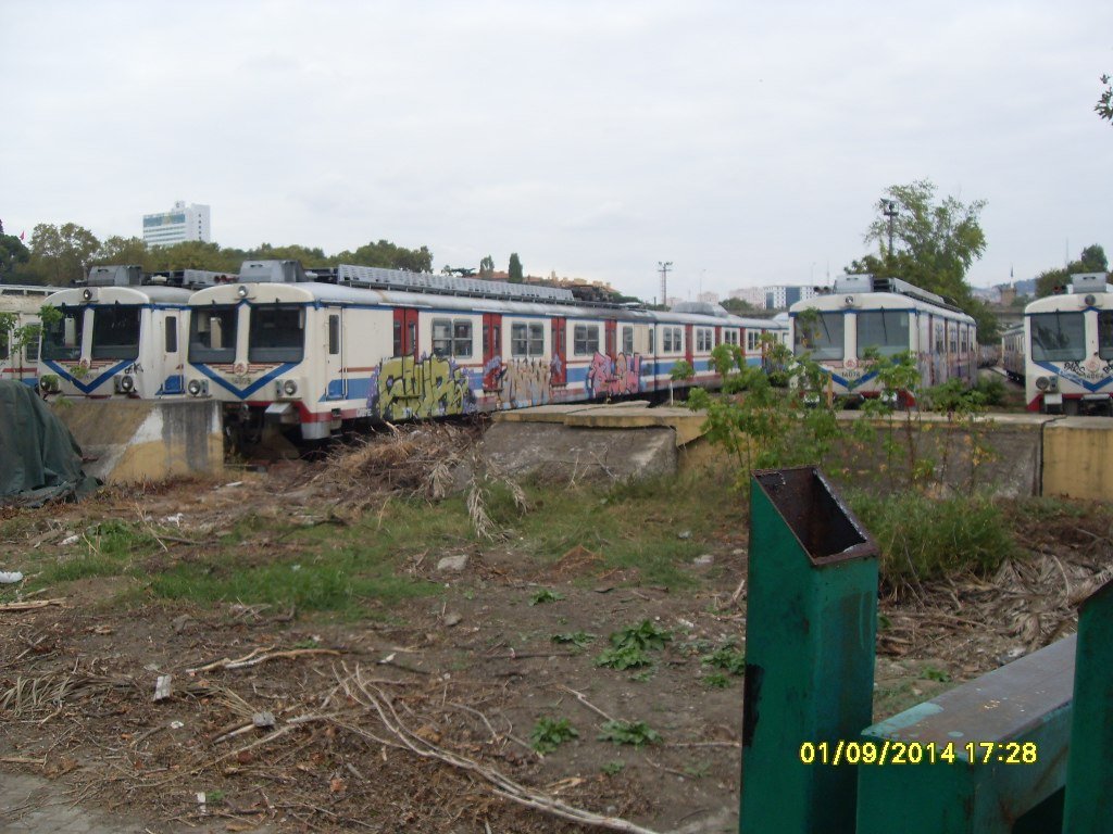 Graffiti Train in Istanbul - Photo by FrankfurtHG - Stur, Blow, Merde (2014)