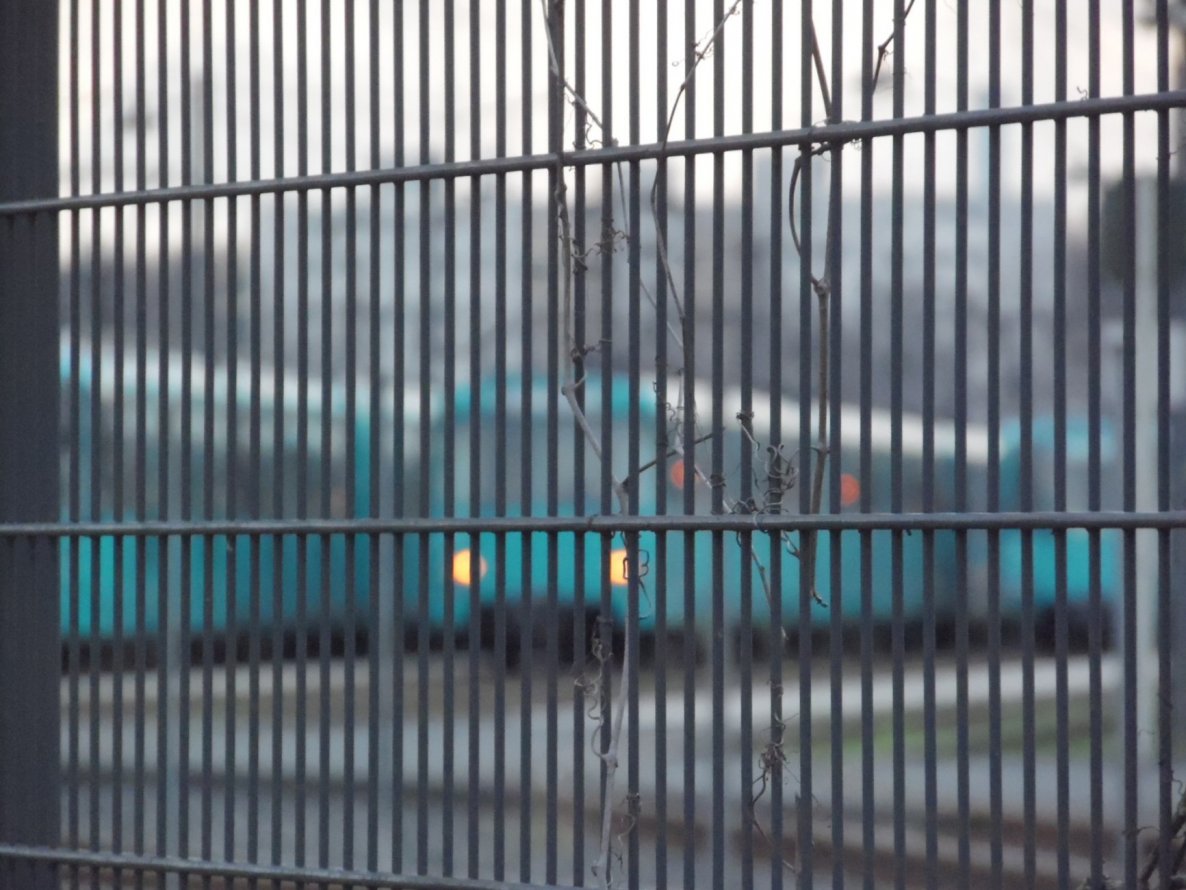 Graffiti Train - Photo by FrankfurtMaximal - Vandan, graffiti, metro