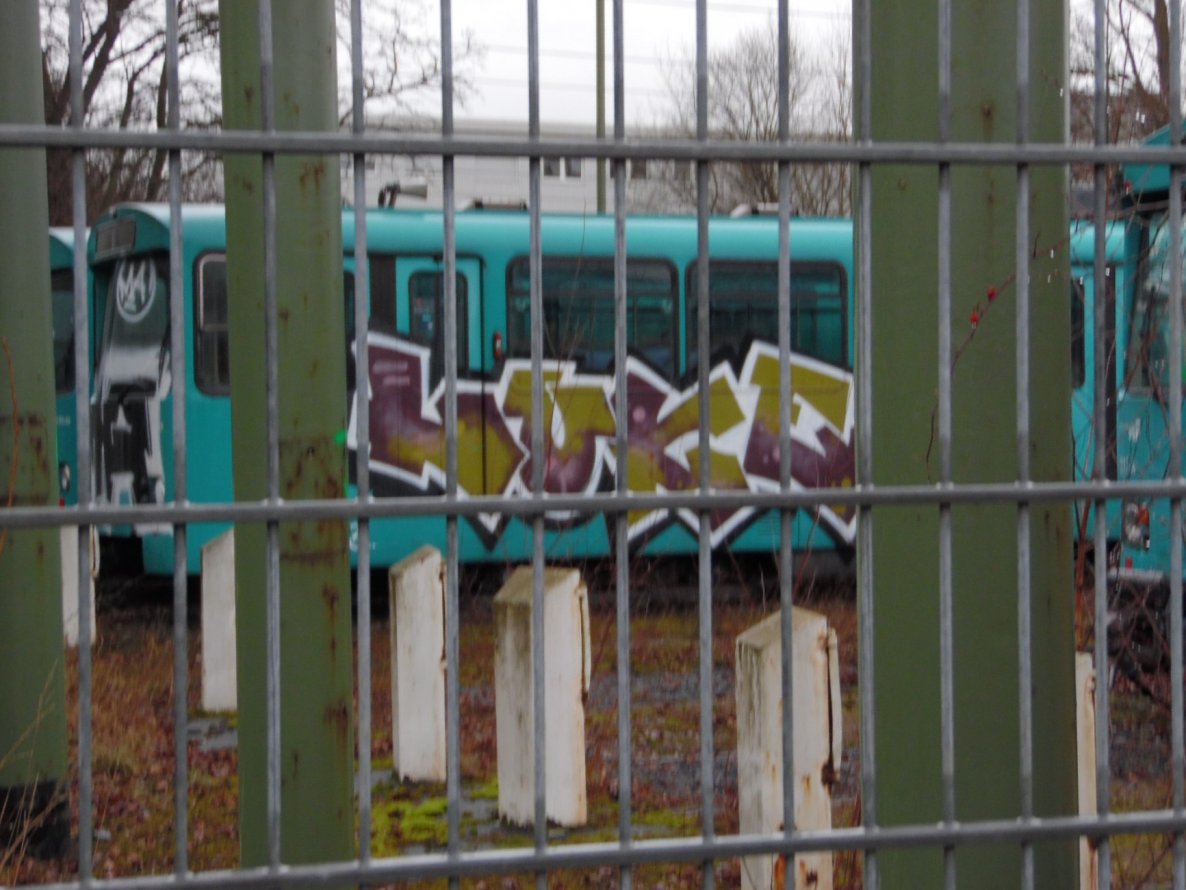 Graffiti Train - Photo by FrankfurtMaximal - luke, kgz, frankfurt