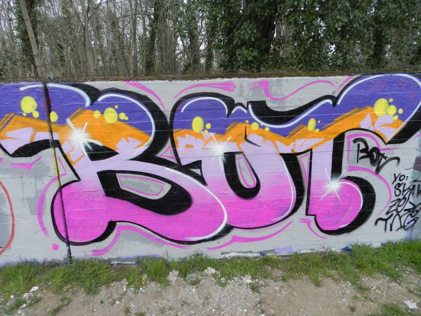 Graffiti Wall in Mannheim - Photo by Franz_Bach - Bot (2013)